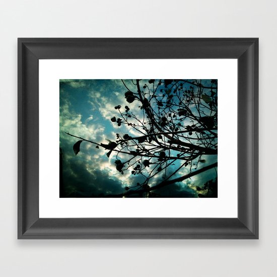 Buds and Branches Framed Art Print
