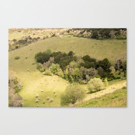 Little Forest Canvas Print