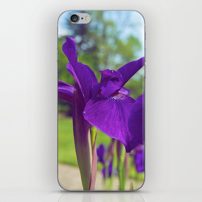 Irises in the sun iPhone Skin
