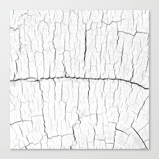White Wood Canvas Print