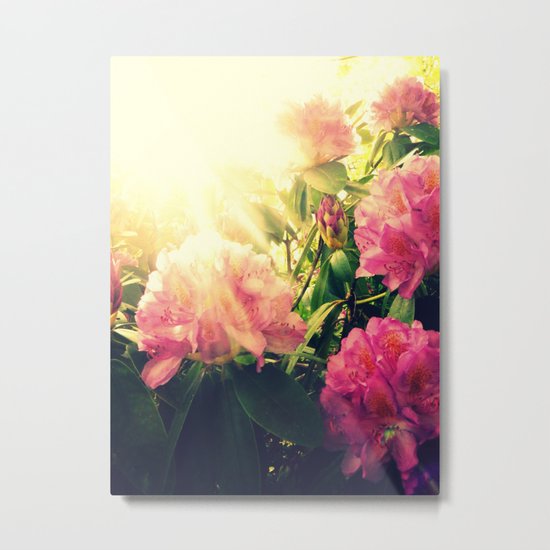 Rhododendron Resplendent Metal Print