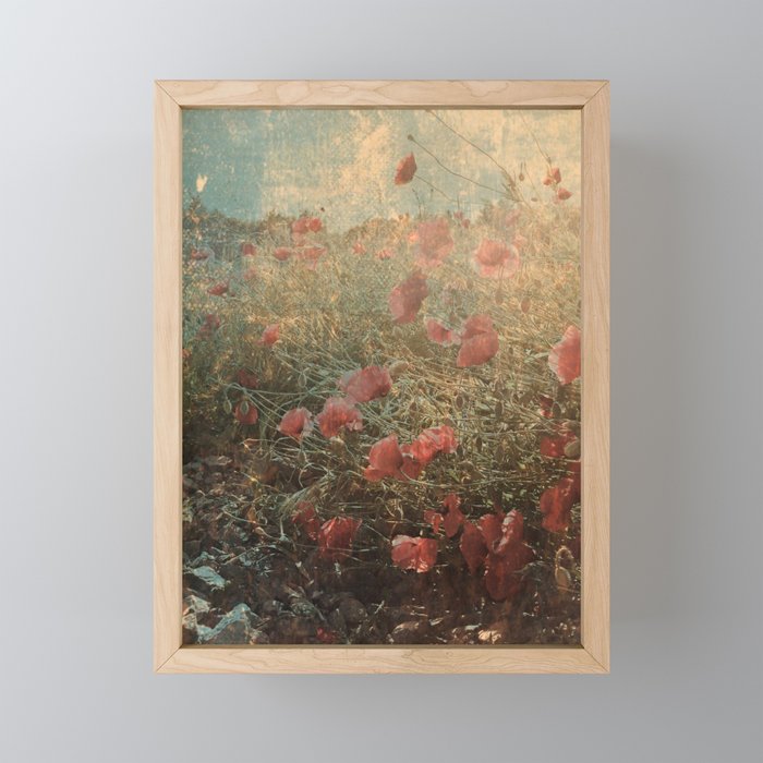 Faded vintage California poppies blooming summer field Framed Mini Art Print