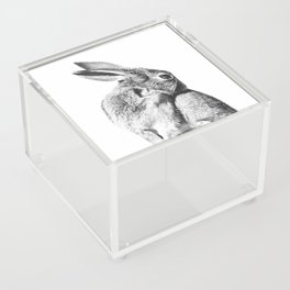 Scandinavian Rabbit/Bunny Nursery Art Acrylic Box