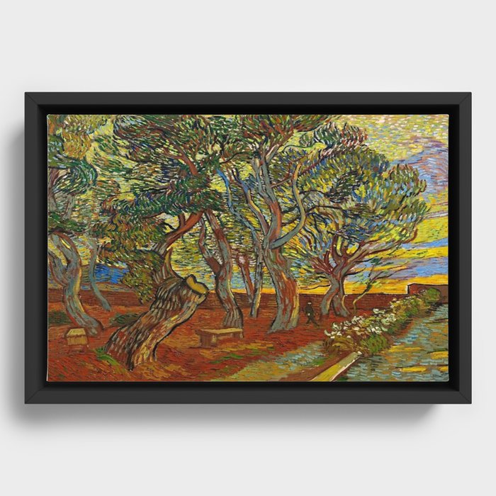 Framed Canvas