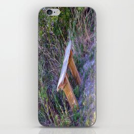 Woodland Rest Stop iPhone Skin