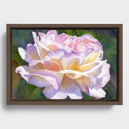 Lavender and Pink Rose floral watercolor painting Framed Canvas