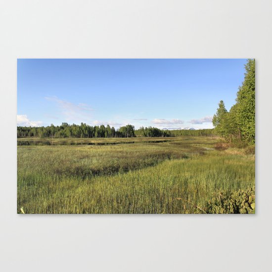 Wetlands Canvas Print