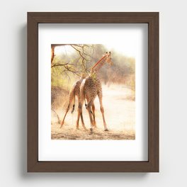 Playful Giraffes Recessed Framed Print
