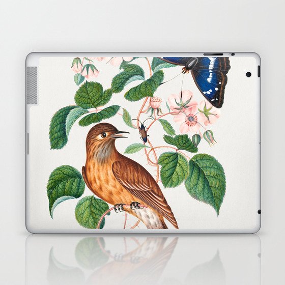 Spotted flycatcher and eggs, bramble and Purple Emperor and longhorned beetle from the Natural History Cabinet of Anna Blackburne Laptop & iPad Skin