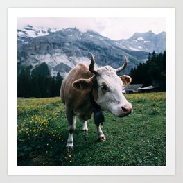 Switzerland Photography - Cow Eating Grass On The Swiss Green Fields Art Print | Basel, Geneva, Switzerland, Travel, Landscape, Mountains, Suisse, Alps, Vacations, Photo 
