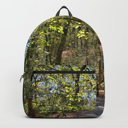 Trailblazing Backpack