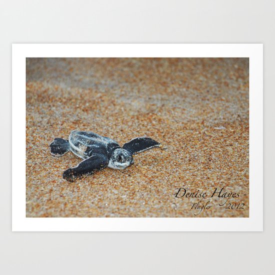 Hatchling Art Print