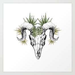 Ram skull with succulents Art Print