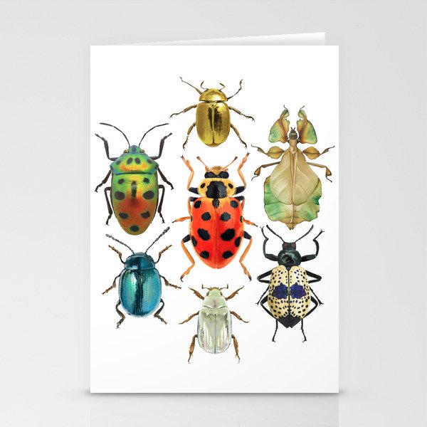 Beetle Compilation Stationery Cards