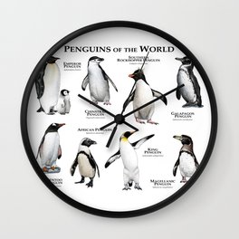 Penguins of the World Wall Clock