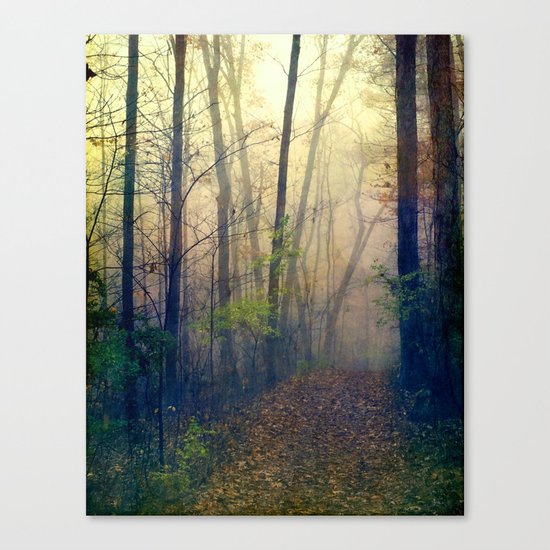Wandering in a Foggy Woodland Canvas Print