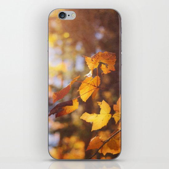 sun soaked autumn iPhone & iPod Skin