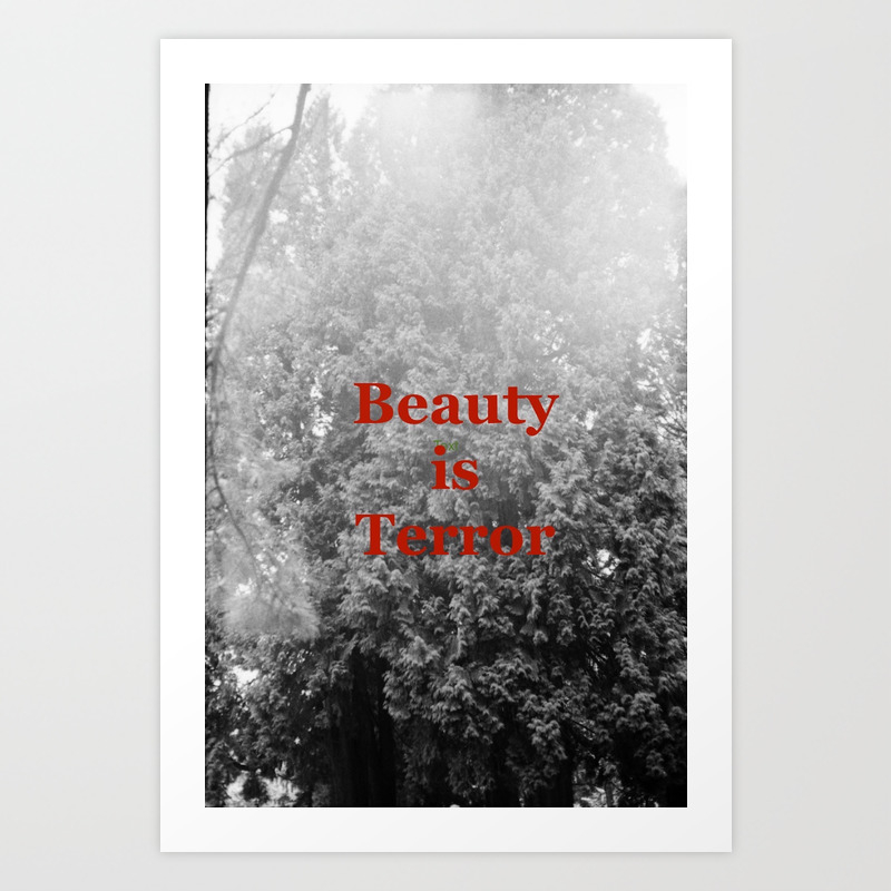 Beauty Is Terror The Secret History By Donna Tartt Quote Art