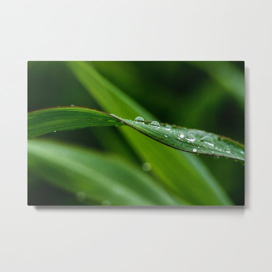 water drops Metal Print