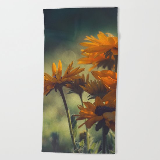 Don't Pass Me By Beach Towel