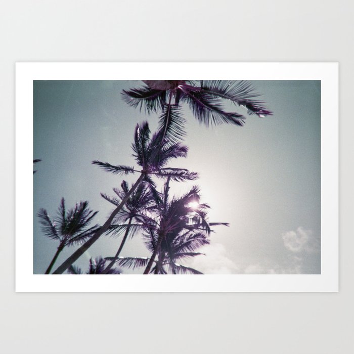 Sunshine through Purple Palm Trees - 35 mm film photo taken in Kauai, Hawaii Art Print