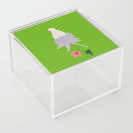 Pigeon on the Flower - White and Green Acrylic Box