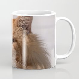 Purebred red Maine Coon cat lying on the floor at home Coffee Mug | Coon, Cat, Animal, Chair, Domestic, Catonabench, Cute, Beautiful, Cats, Chillout 