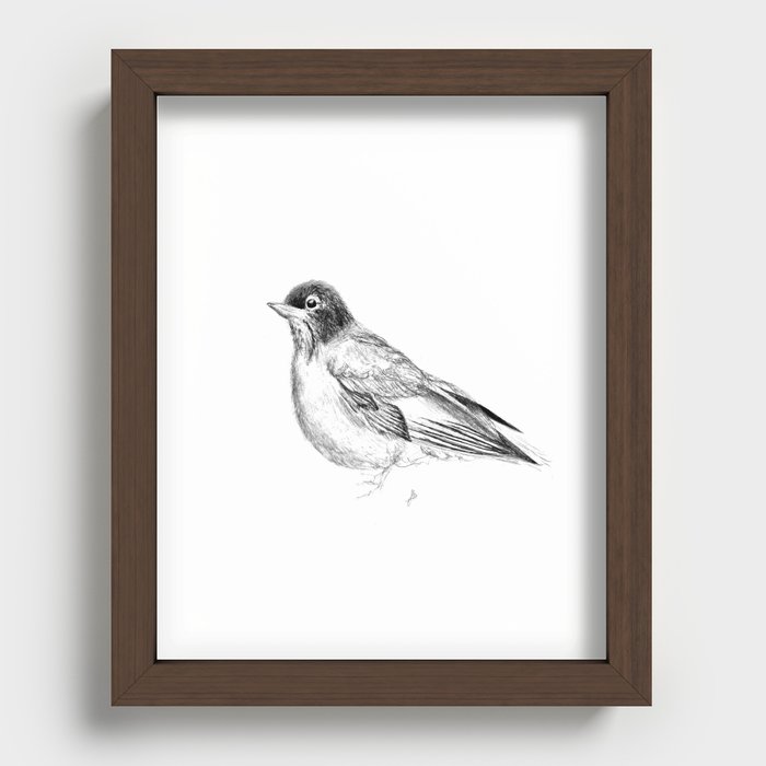 Robin Bird Recessed Framed Print
