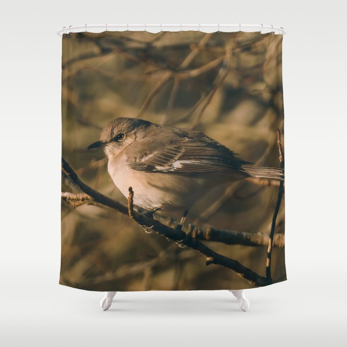 Mockingbird Shower Curtain