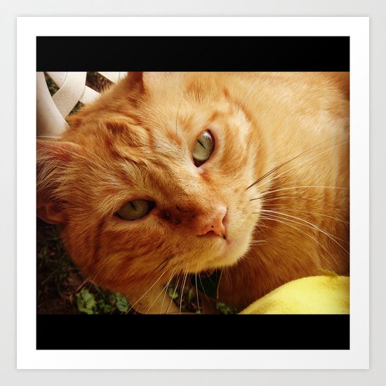 Chester Art Print