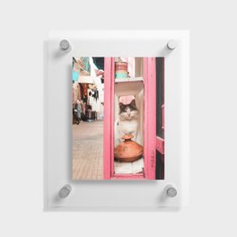 A cat in the shop window Floating Acrylic Print