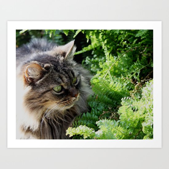 Natural Element Art Print