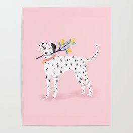 Dalmatian with Lemon Tree in Pink Poster