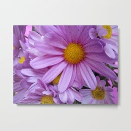 Cheerful Chrysanthemums Metal Print
