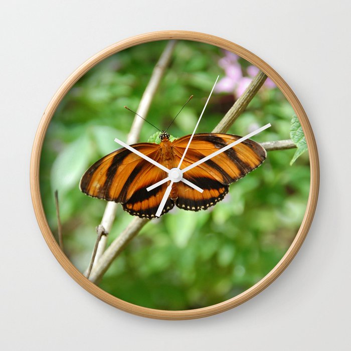 Mexico Photography - Beautiful Orange Butterfly With Black Stripes Wall Clock