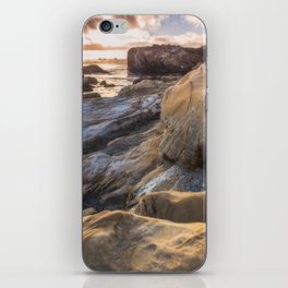 Point Lobos II iPhone Skin
