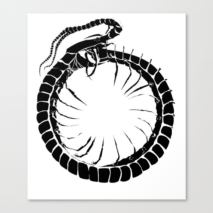 Ouroboros Centipede Canvas Print