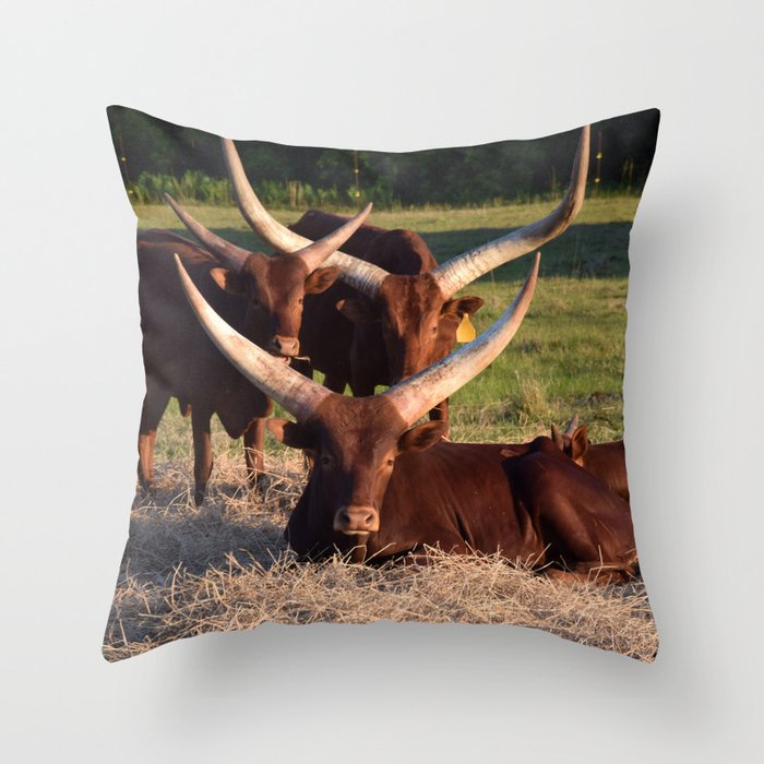 Cow Horns Throw Pillow