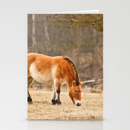 Horse Stationery Cards