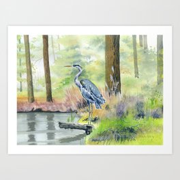 Great Blue Heron 2 Art Print