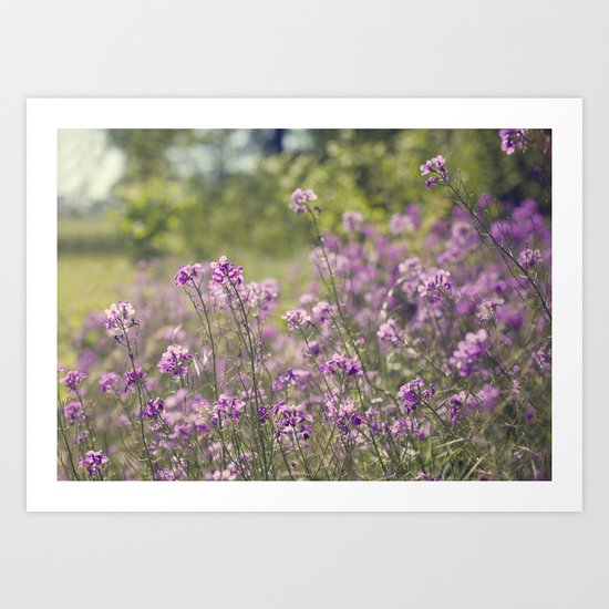 purple wildflowers Art Print