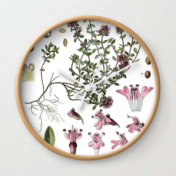 Nature, botanical print, flower poster art of Wild Thyme Wall Clock