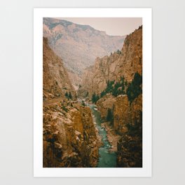 Shoshone Canyon Art Print