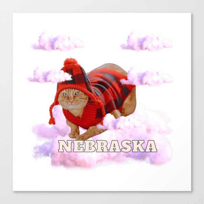 Nebraska cold cats Canvas Print
