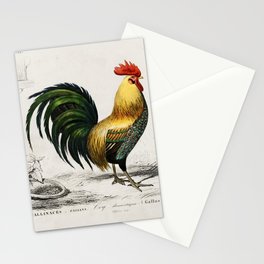 Cock Stationery Card