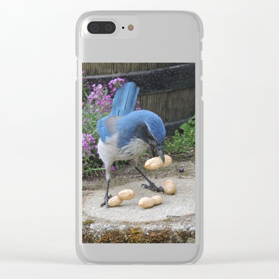 Jay Weighs the Options Clear iPhone Case