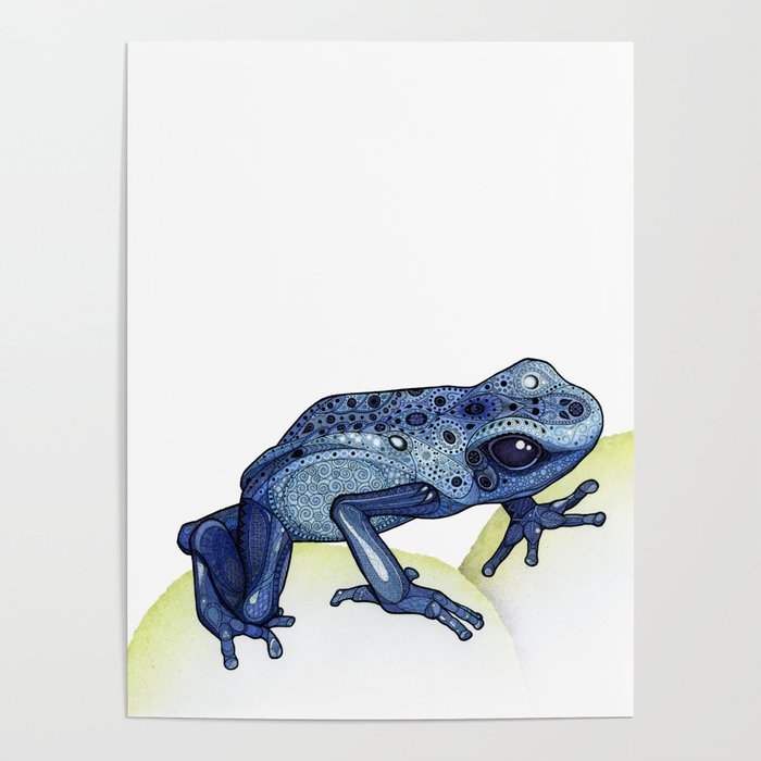 Poison Dart Frog Poster