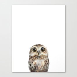 Little Owl Canvas Print