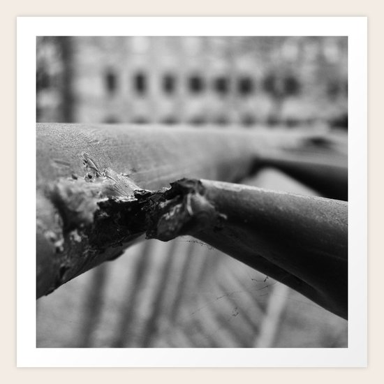 Architecture Art Print
