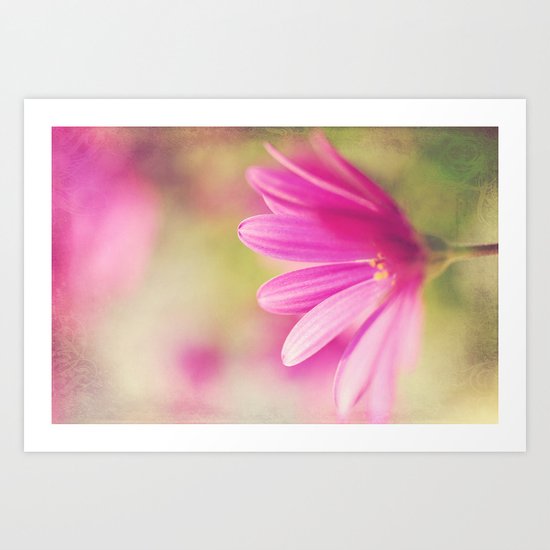 Basking in the Sun Art Print